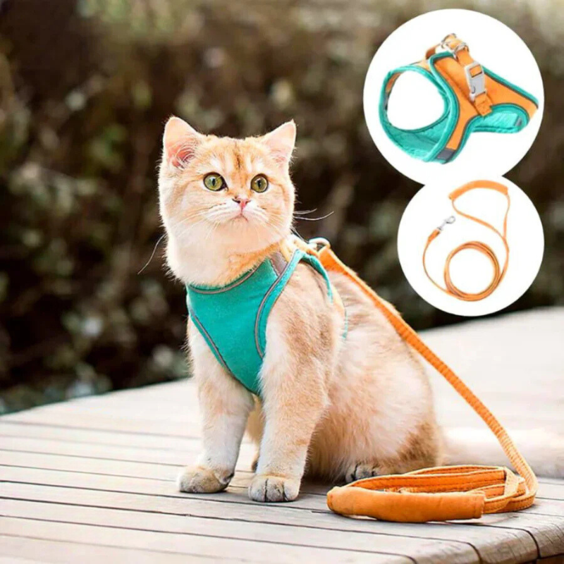 Comfortable and secure cat harness - Ideal for outings