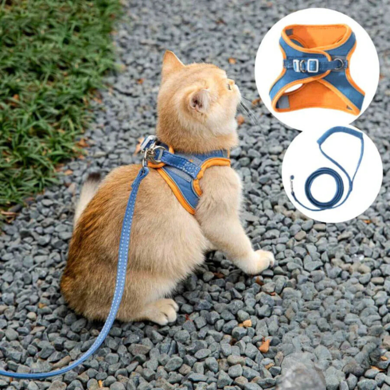 Comfortable and secure cat harness - Ideal for outings