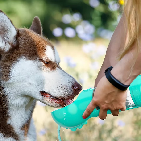 4-i-1 flaska för att återfukta och ge näring åt din hund