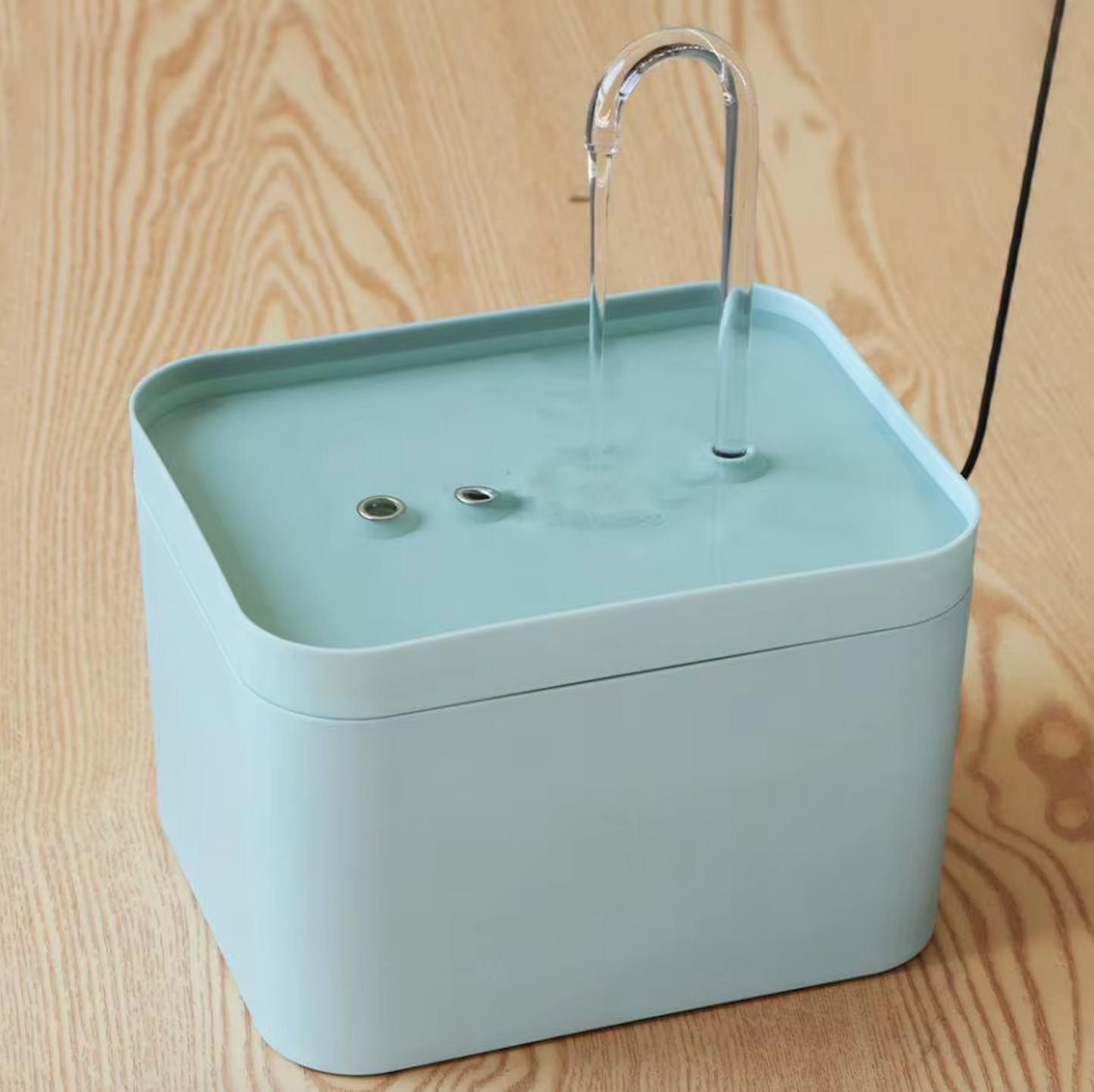 猫のための最適な水分補給のための水飲み場