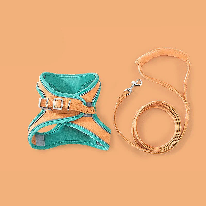 Comfortable and secure cat harness - Ideal for outings