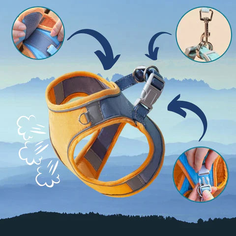 Comfortable and secure cat harness - Ideal for outings