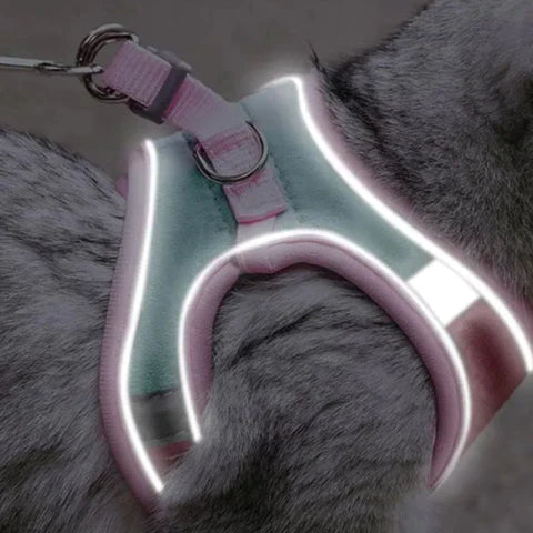Comfortable and secure cat harness - Ideal for outings