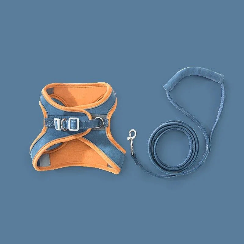 Comfortable and secure cat harness - Ideal for outings