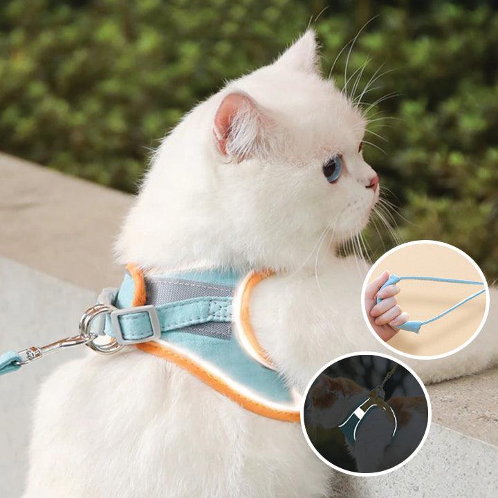 Comfortable and secure cat harness - Ideal for outings