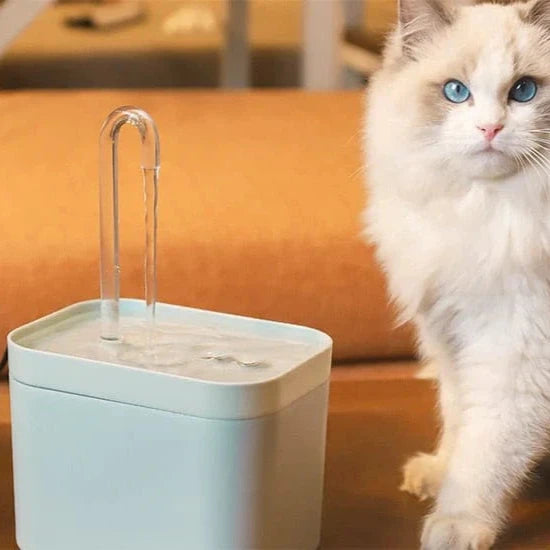 猫のための最適な水分補給のための水飲み場